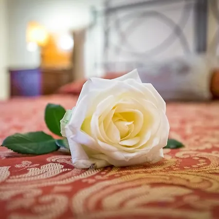 Bed & Breakfast Casa Di Barbano Florence
